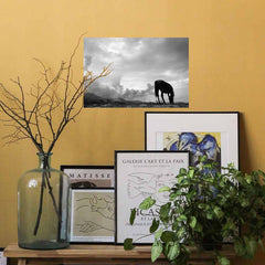 24 inch Grazing Horse Gloss Poster Installed Above Framed Art
