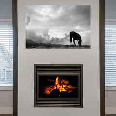 48 inch Grazing Horse Gloss Poster Installed Above Fireplace