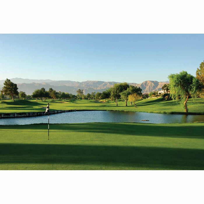 Palm Springs Golf Course Wall Decal Printed | Wallhogs