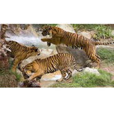 Tiger Gang Gloss Poster Printed | Wallhogs