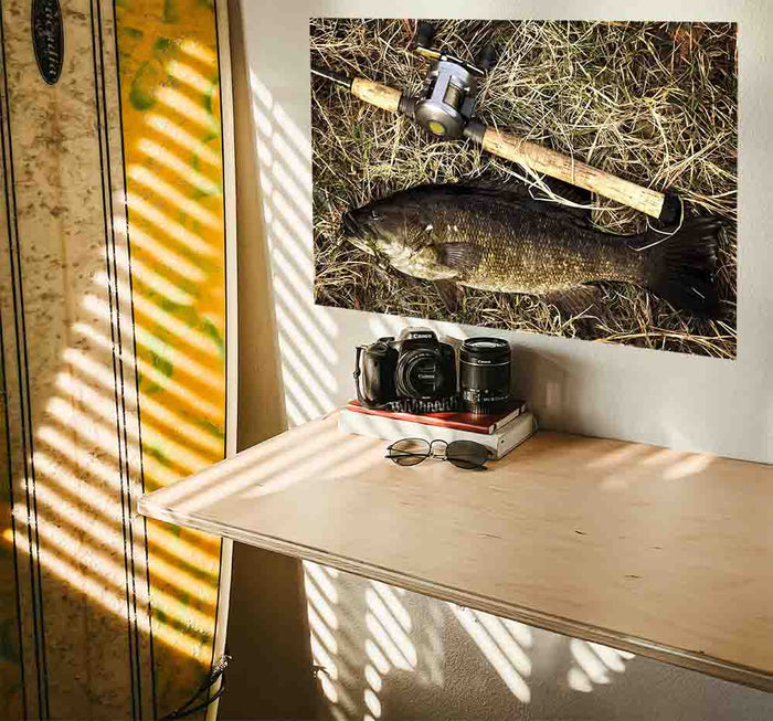 24x36 inch Catch of the Day Decal Installed Above Shelf