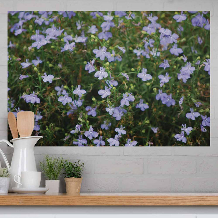 32x48 inch Purple Flowers Decal Installed Above Counter