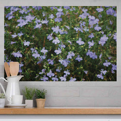32x48 inch Purple Flowers Decal Installed Above Counter