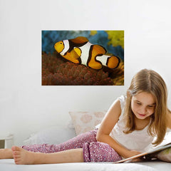 16x24 inch Clownfish Poster Installed in Girls Room