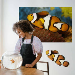 32x48 inch Clownfish Deal Installed on Wall