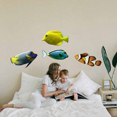 12x24 inch Clown Fish Decal Installed in Boys Room