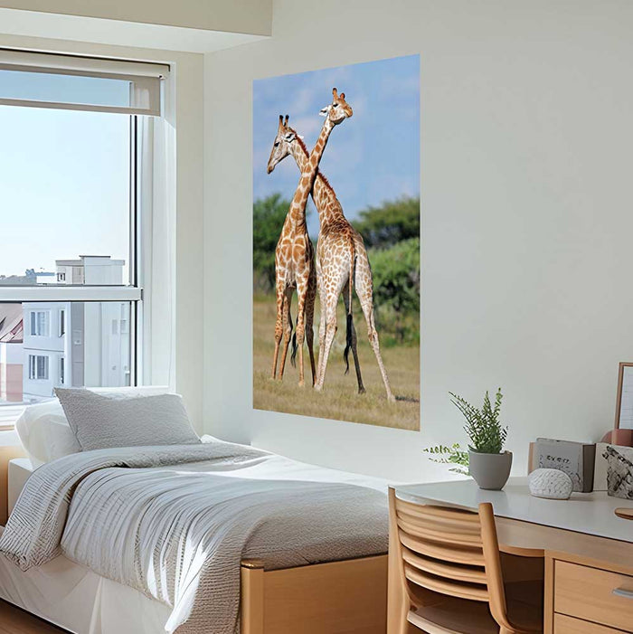 72 inch Crossing Giraffes Decal Installed Above Bed