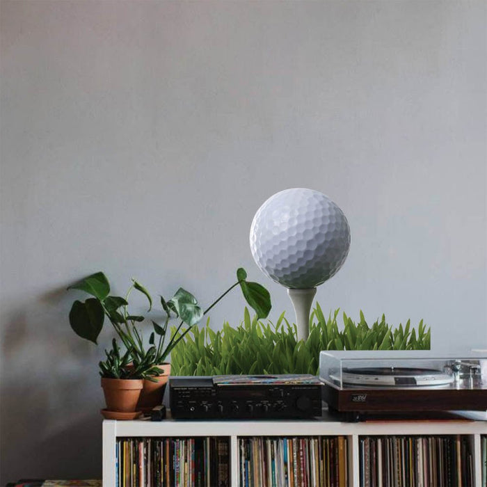 19.5x24 inch Fore Golf Decal Installed Above Record Cabinet