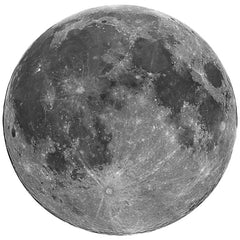 Full Moon Wall Decal Printed & Die-Cut | Wallhogs