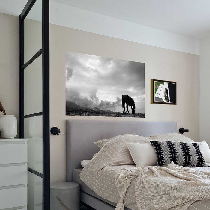 36 inch Grazing Horse Decal Installed Above Bed