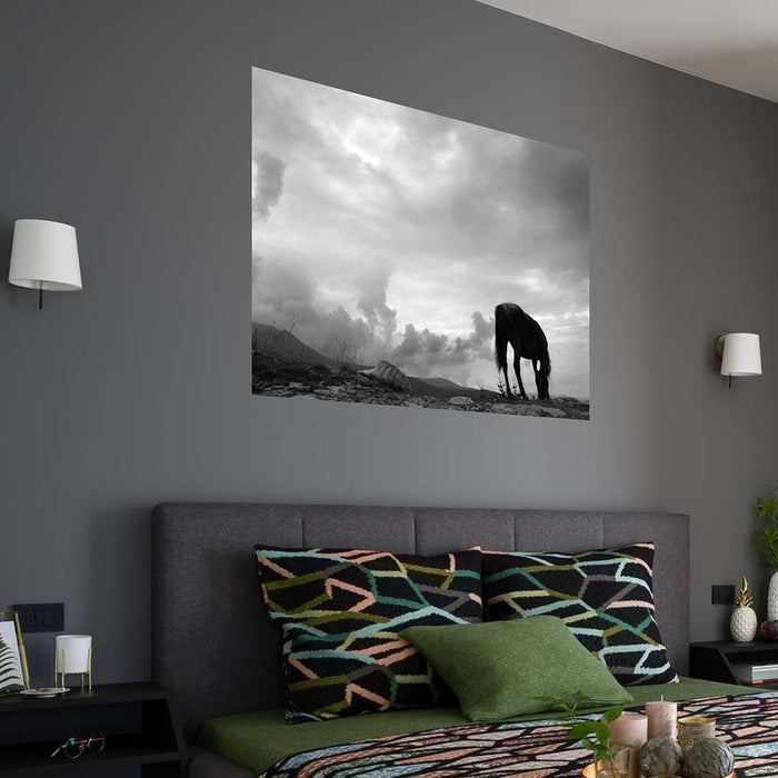 60 inch Grazing Horse Decal Installed in Bedroom