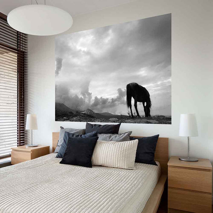 72 inch Grazing Horse Decal Installed Above Bed