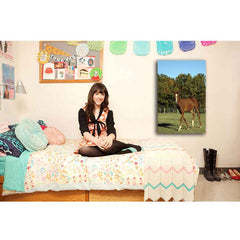 Horse Portrait Canvas Print Installed | Wallhogs