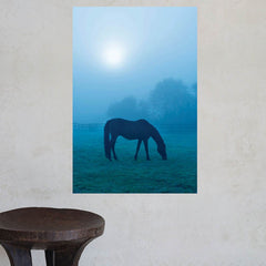 24 inch Morning Mist Horse Decal Installed on Wall