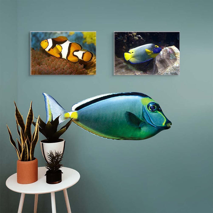 18x48 inch Naso Tang Decal Installed Above Stool w/Plants