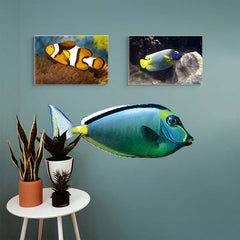 18x48 inch Naso Tang Decal Installed Above Stool w/Plants