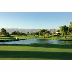 Palm Springs Golf Course Wall Decal Printed | Wallhogs