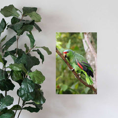 24 inch Parrot on Branch Decal Installed on Wall