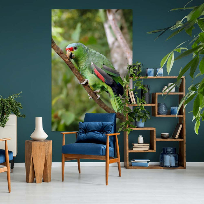 72 inch Parrot on Branch Decal Installed in Living Area