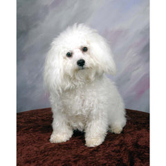 Poodle Portrait Wall Decal Printed | Wallhogs