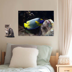 16x24 inch Reef Angel Fish Decal Installed Above Bed