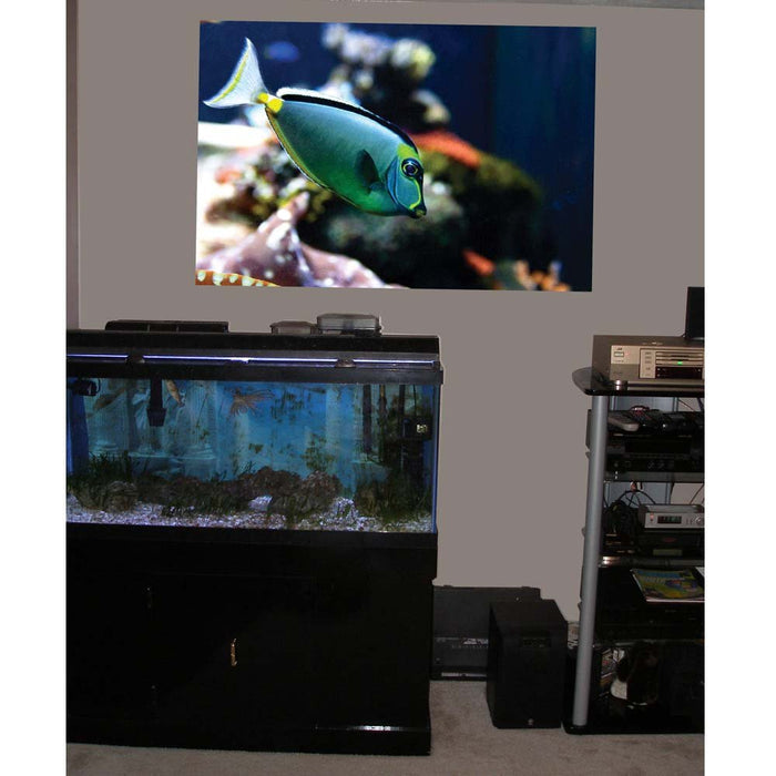 Reef Naso Tang Fish Gloss Poster Installed | Wallhogs