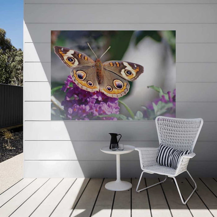 51x72 inch Butterfly on Purple Flower Poster Installed on Porch