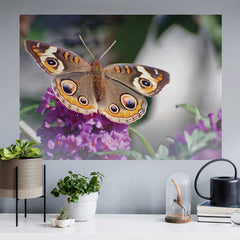 26x36 inch Butterfly on Purple Flower Decal Installed Above Desk