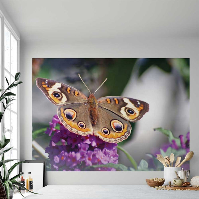 43x60 inch Butterfly on Purple Flower Decal Installed Near Window