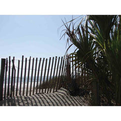 Beach Jungle Wall Decal Printed | Wallhogs