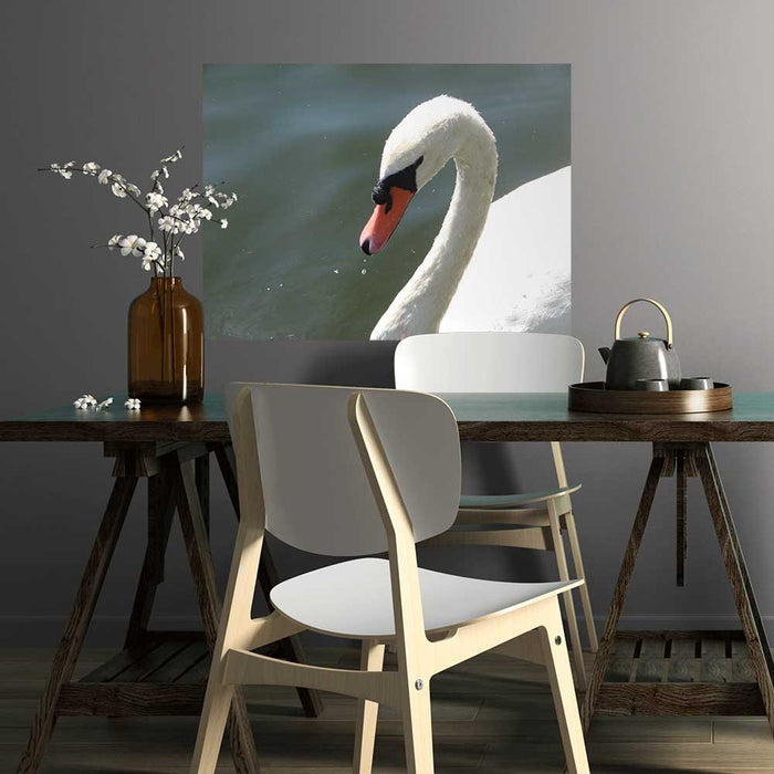 36 inch Majestic Swan Decal Installed in Dining Area